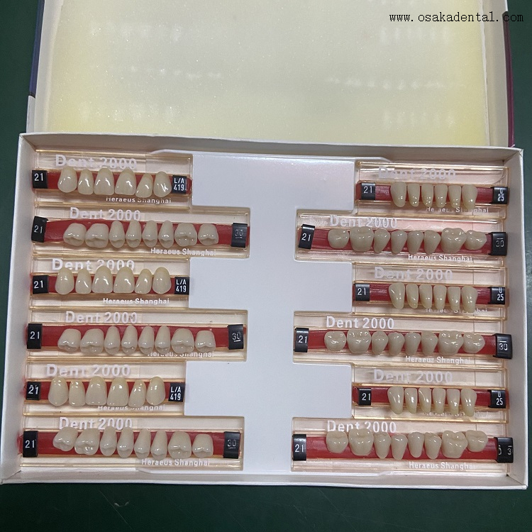 Dental Heraeus 2000 Resin Teeth