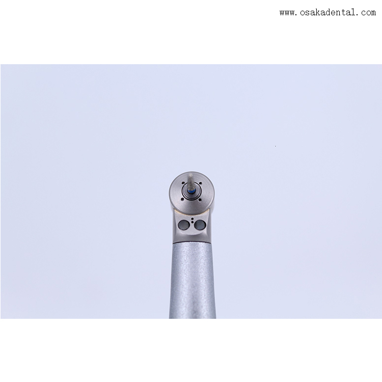 Precision Mini Head Dental Handpiece