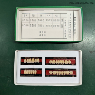 European Quality Dental ResinTeeth Front Teeth/Back Teeth OSA-Teeth-EU