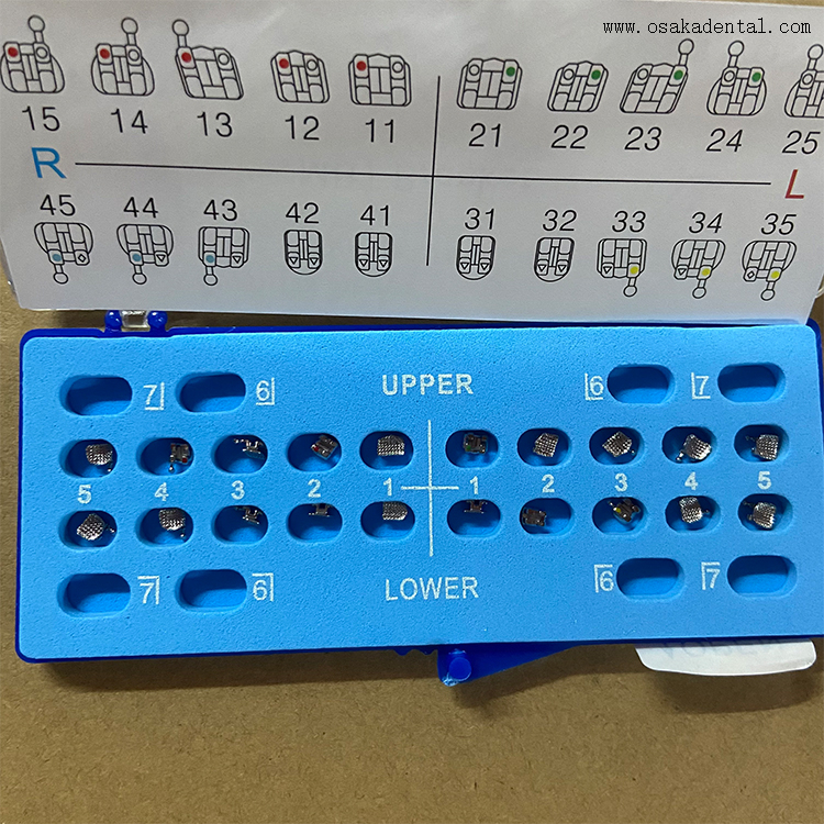 Dental Orthodontic Mesh Base Metal Bracket