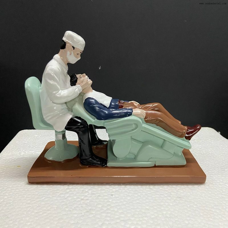 Dental Clinic Display Model of dentist with resin material