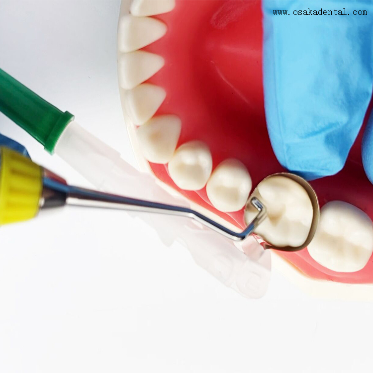 Dental Disposable Wingless Retainer And Matrix Band