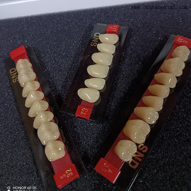 High-Quality Two-Tone Resin Teeth for Natural-Looking Dentures