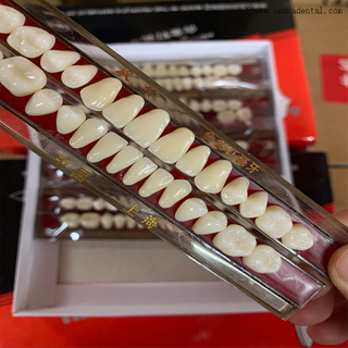 Dental Arylic Resin FalseTeeth 