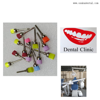 Prophy Brush Colorful for Dental 