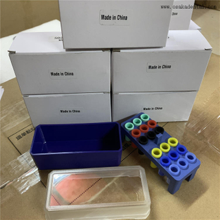 Autoclaveable 72 Holes Semitranslucent Disinfection Box