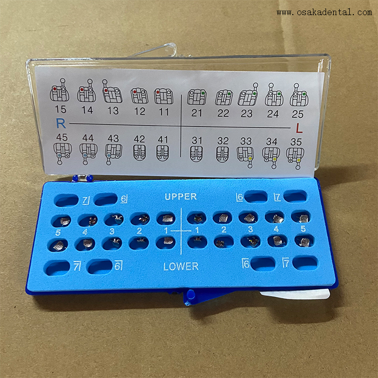 Dental Orthodontic Mesh Base Metal Bracket