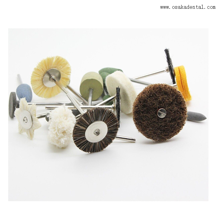 Dental Polishing Small Brushes with Handle