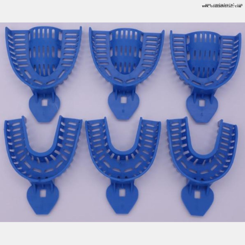 Impression Tray with Mesh for Dental Use