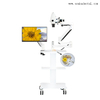 Surgical Dental Microscope