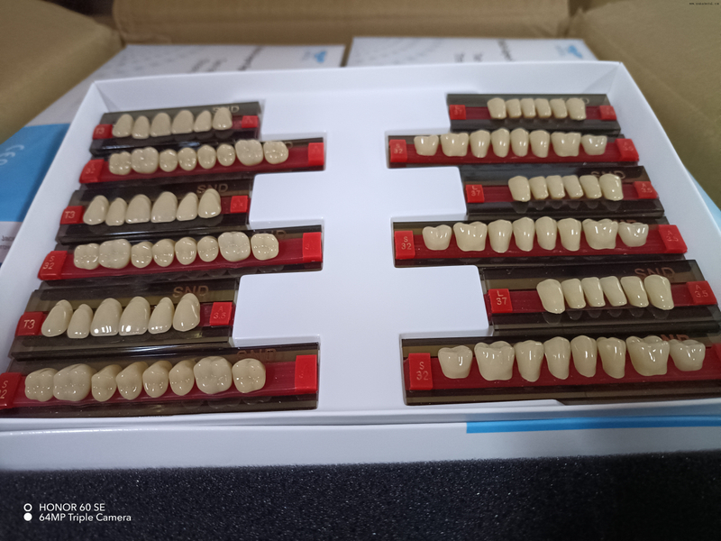 High-Quality Two-Tone Resin Teeth for Natural-Looking Dentures
