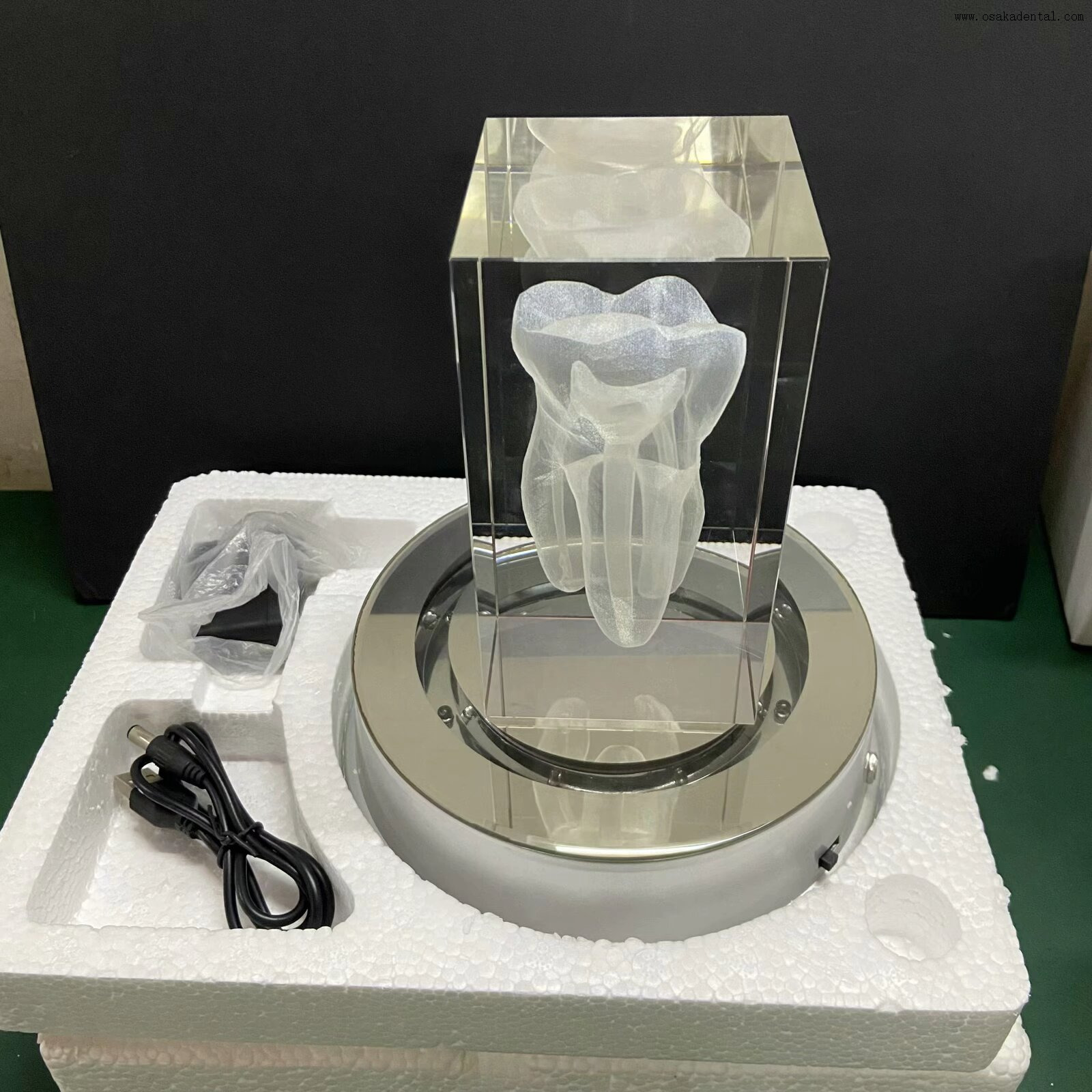 Dental teeth shape for dental clinic decoration
