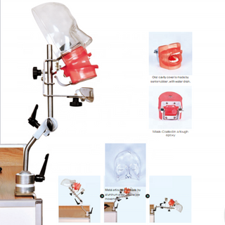 A Dental Simple Manikin with Water Drain