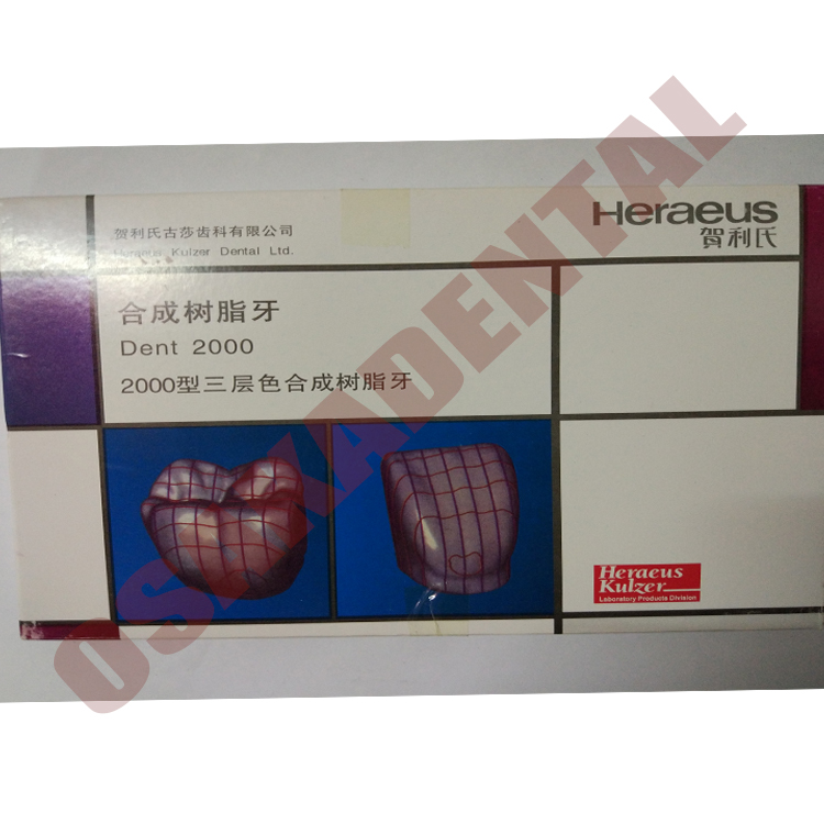 Acrylic Porcelain Detnal Teeth with Alloy Pin Full Set 3 sets