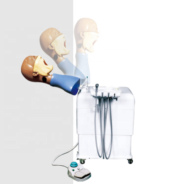 Dental Simulation Training System with Dental Manikin with Torso