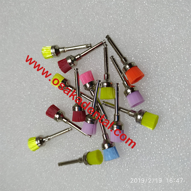 Dental Colorful Prophy Brush PB-380-C