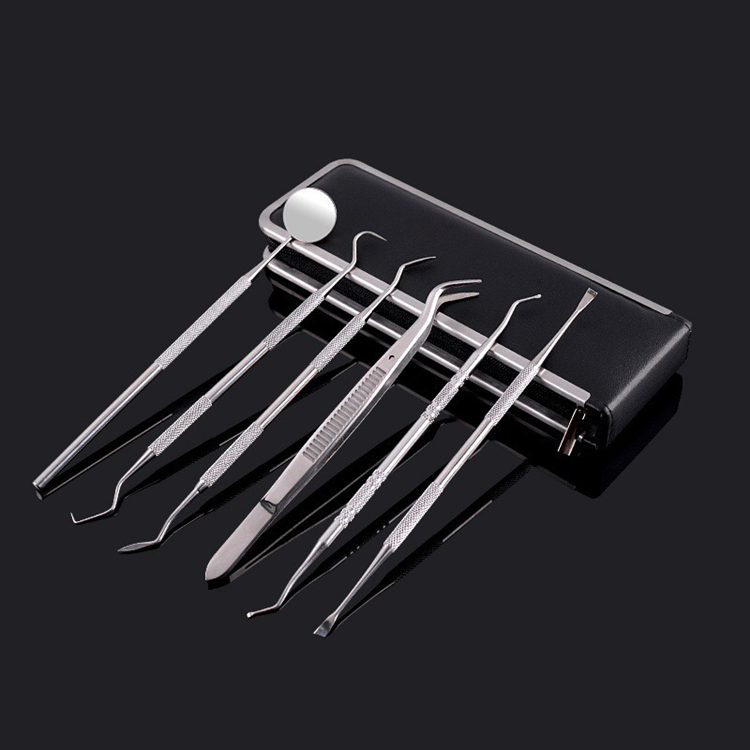 A Dental Instrument 6 PCS One Set with Bag Packing