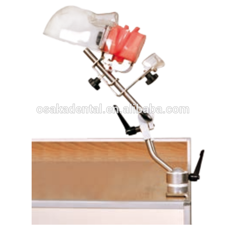 A Dental Simple Manikin with Water Drain