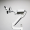 Dental Equipment Dental Microscope without Camera