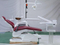 Economic Dental Chair with Halogen Light Unit for Dental Clinic