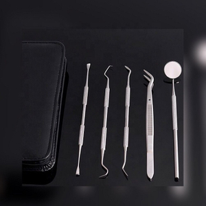 Stainless Steel Dental Instrument of 6pcs one set/Dental Kits