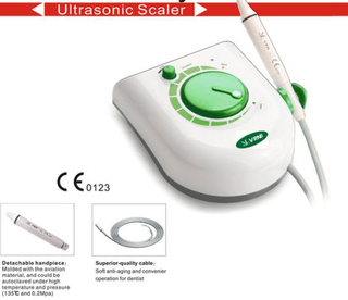 Popular Dental Scaler Detachable Type Handpiece