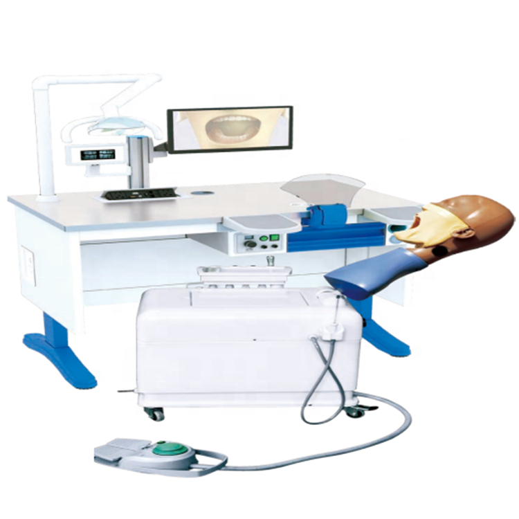 Dental Simulation Training System with Dental Manikin with Torso
