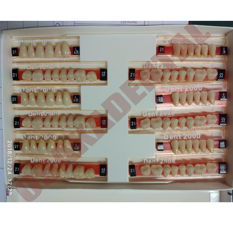 Acrylic Porcelain Detnal Teeth with Alloy Pin Full Set 3 sets