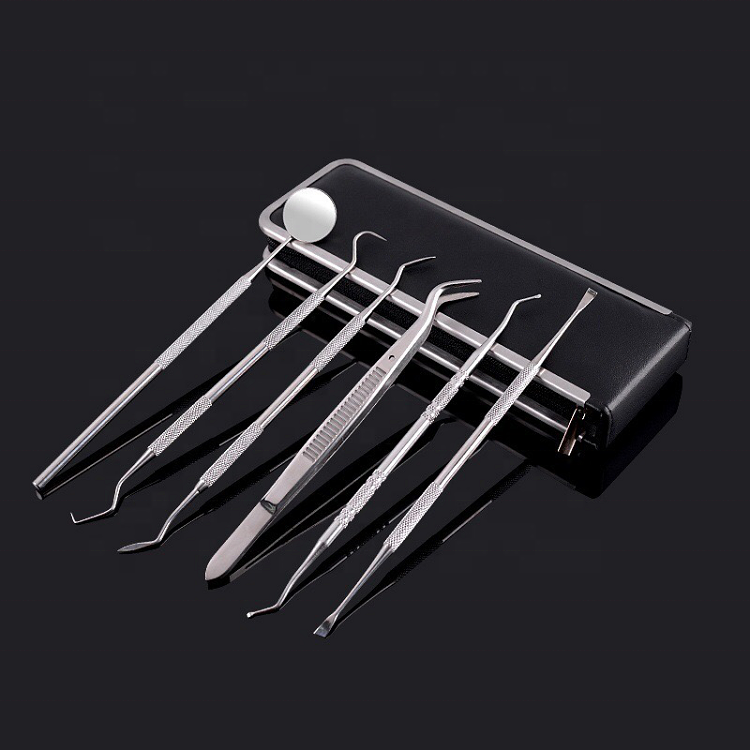 Stainless Steel Dental Instrument of 6pcs one set/Dental Kits